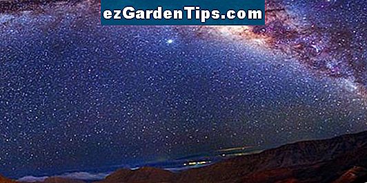 Was Misst Eine Wetterfahne Tipps Gartner De Ezgardentips Com