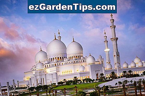 Arabų Gėlių Vardai Patarimai Sodininkams Lt Ezgardentips Com