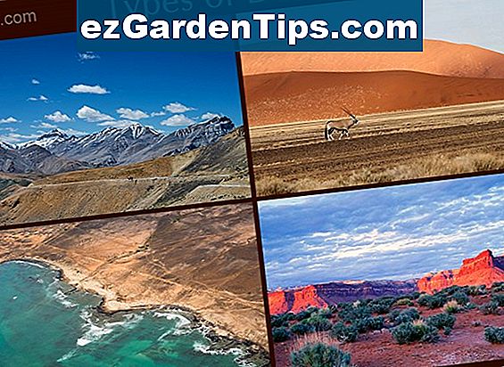 Tips Gartnere Til Alle Rstider Ezgardentips Com