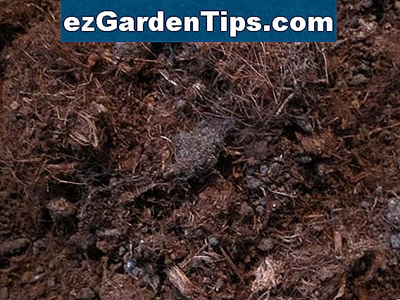 Wie man KokosSubstrat für Pilze verwendet 🌱 Tipps Gärtner De