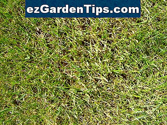 56+ Fleck Gärtner, Garten &amp; bewässerung im garten.