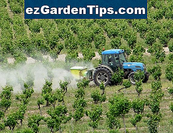 Uso De Herbicida Tips Jardineros Es ezGardenTips