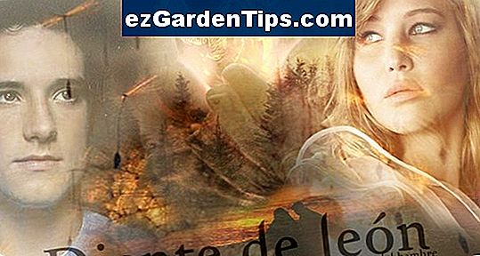 Problemas con el suelo arcilloso 🌱 Tips Jardineros - Es.ezGardenTips.com