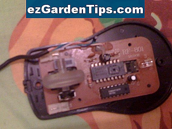 C mo Arreglar El Da o De Herbicida Tips Jardineros Es ezGardenTips