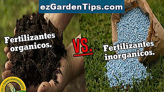 Orgánico vs. Fertilizante Inorgánico 🌱 Tips Jardineros - Es