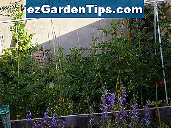 C mo Medir Un Patio Cuadrado De Mantillo Tips Jardineros Es ezGardenTips