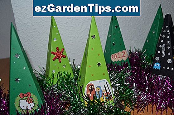 C mo Recortar rboles C tricos En Hawaii Tips Jardineros Es 