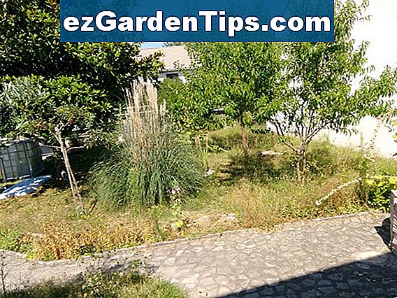 comment-tuer-l-herbe-avec-du-carton-conseils-jardiniers-fr