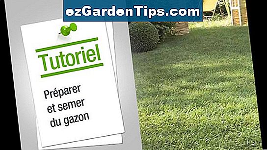 Comment faire pour supprimer le trèfle de l'herbe de la pelouse 🌱