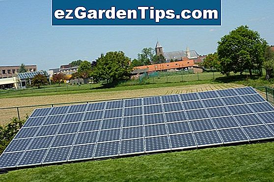 Hoe Solar Lights in de tuin te plaatsen