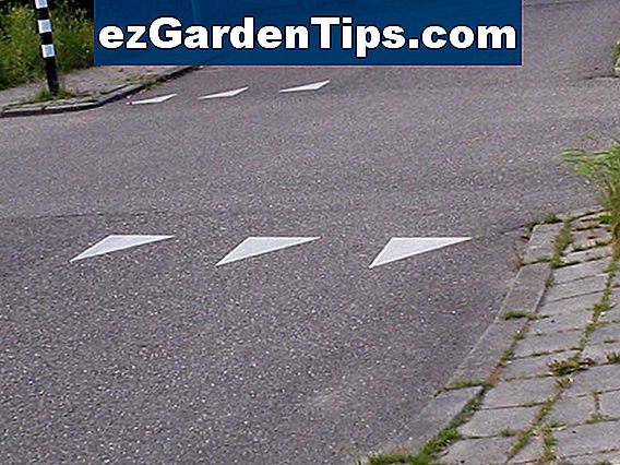 wat-betekent-leembodem-tips-tuinders-nl-ezgardentips