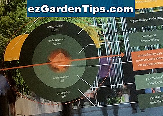 wat-is-het-belang-van-veenmos-tips-tuinders-nl-ezgardentips