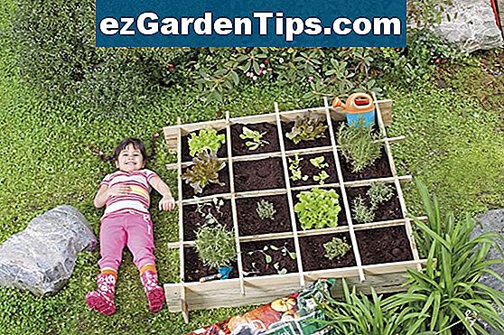 Wanneer Groenten Planten In Massachusetts Tips Tuinders Nl 