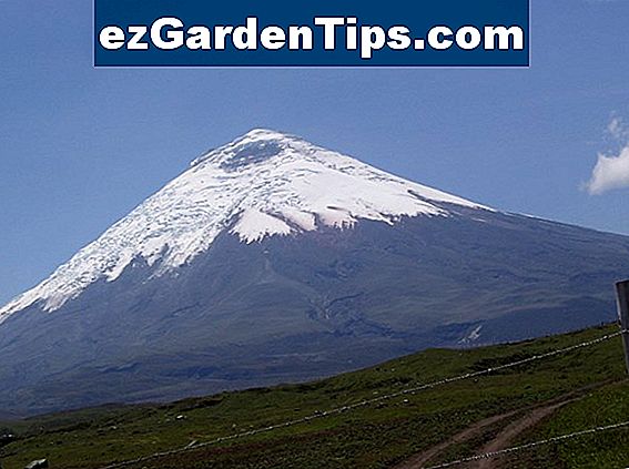 hoeveel-landschap-heb-ik-nodig-tips-tuinders-nl-ezgardentips