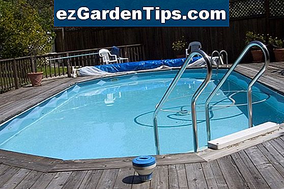 Hoe Een Pool Pruner Op De Juiste Manier Te Gebruiken Tips Tuinders 