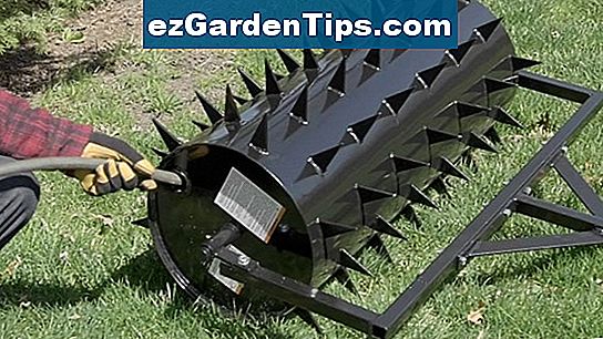 spike aerator vs plug aerator spike aerator vs plug aerator