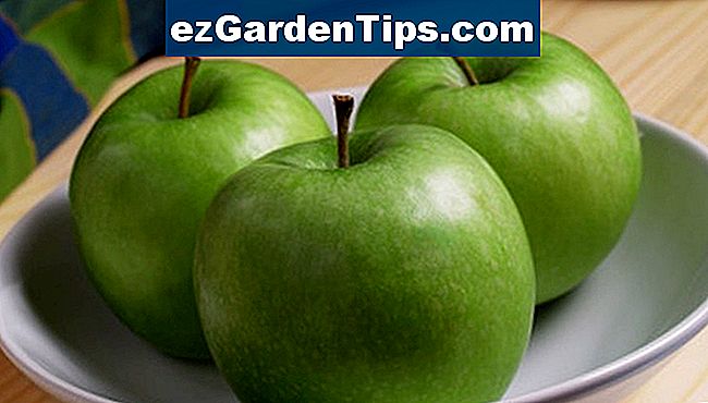 As maçãs Granny Smith são consideradas auto-férteis, mas produzem melhores frutos com a polinização cruzada.