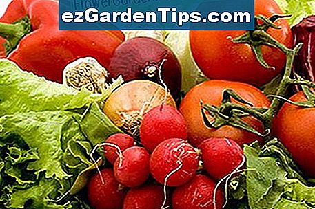 Næringsstofkrav for grøntsager i din have