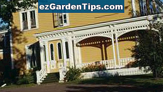 Hoe Dik Moet Een Asfalt Oprit Zijn Tips Tuinders Nl ezGardenTips